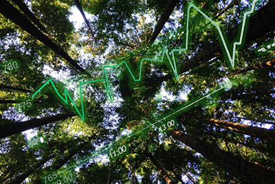 analyse environnementale