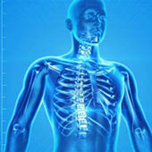 CLIEMA _ Formation Gestes et postures