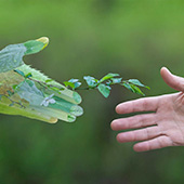 AEGIDE INTERNATIONAL _ Formation intra entreprise Formation Environnement