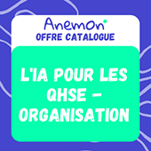 Formation Anemon L'IA pour les QHSE - Organisation