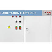 PEPCI _ Formation Habilitation Électrique BE Manœuvre Habilitation Électrique BE Manœuvre - Basse Tension